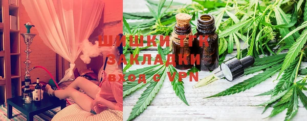PSILOCYBIN Михайлов