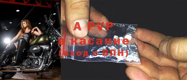 PSILOCYBIN Михайлов