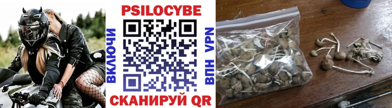 Галлюциногенные грибы Cubensis  Урень 